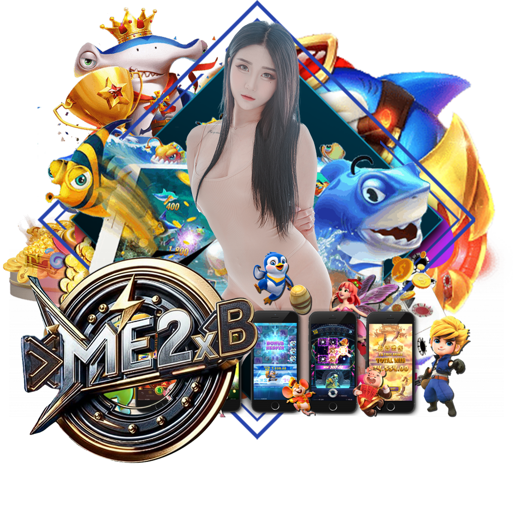 me2xb ทางเข้า